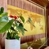 Bliss Inn Tunari