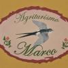Agriturismo Marco