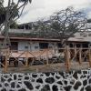Casa Rural Finca Las Dulces