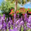 Apartman Urban Nature