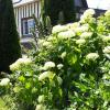 Gîte 'les matins calmes '