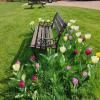 FIELDVIEW FARMHOUSE BED AND BREAKFAST