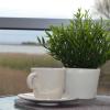 Apartament Justynka
