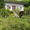 Casa dintre Brazi Hunedoara