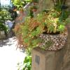 Guesthouse Manda