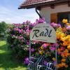 Gästehaus - Camping- Weinhof Radl