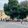26 nice Vieux Nice