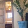 54 Rue Chbanat, Medina, 44000 Essaouira, Morocco.