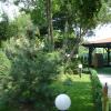 Hotel Baneasa Parc