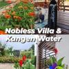 Nobless Villa