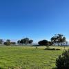 Happy Wanderer Motel Lake Boga ON THE LAKE WITH LAKE VIEWS