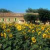 Il Canto di Kokopelli Country Houses