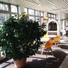 EGG HOTEL - HOTEL LES GENS DE MER Dieppe