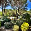 Provence mon amour