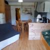 Studio Corrençon-en-Vercors, 1 pièce, 4 personnes - FR-1-515-140