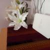 Feher Barany Apartment