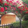 Family Hotel Magnolia, Sunny Beach