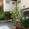 Casa di Marzi