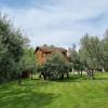 Palazzo Conforti Tree House Resort