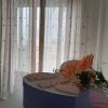 Butterfly House