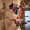 Butterfly House