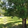 Cute 1-bed cottage with view across park.