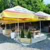 Guest House Zoreni