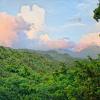 Ross Blvd, Dominica, West Indies.