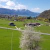 Apartment Wolfgangsee