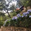 Sobreiro Valley - Casa Firmino