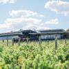 Balgownie Estate Yarra Valley