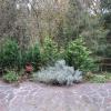 Waldpension Stachl