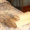 Bed And Breakfast Majore