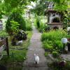 The Old House Guest House