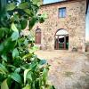 Agriturismo Podere Casella
