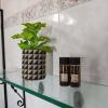 ANASSA HOME A Spacious Cretan House Next To The Sea, Family and Couple Friendly with Terrace in Makry Gialos & Ierapetra
