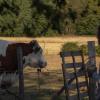 ferme pedagogique des pennetieres