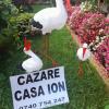 Casa Ion