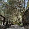 Casa Rural Guayadeque Ca'Juani