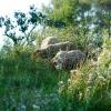 Route de Salernes, Lorgues 83510, Provence, France.