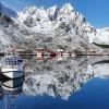 Fish factory -The real Lofoten experience