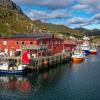 Fish factory -The real Lofoten experience