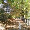 Apartamenty RÓŻANA 2