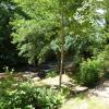Chalet du Montal
