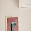CACTUS - Blooming Garden Apartments