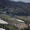 Finca Grace