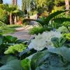 Arenosu Comfort Country Guesthouse