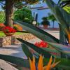 Arenosu Comfort Country Guesthouse