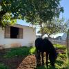 Herdade Da Maridona - Agroturismo