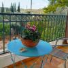 Marco Polos Mooring Cozy Navy House